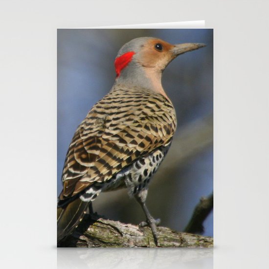 Northern Flicker Stationery Cards