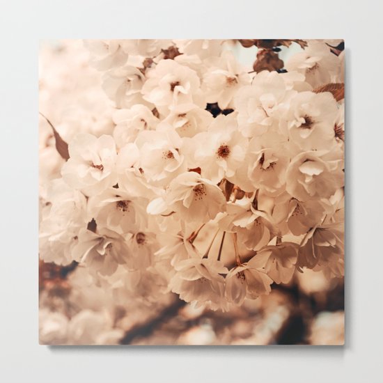 Hello Spring #7 Metal Print