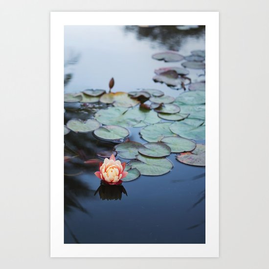 WATER LILY Art Print