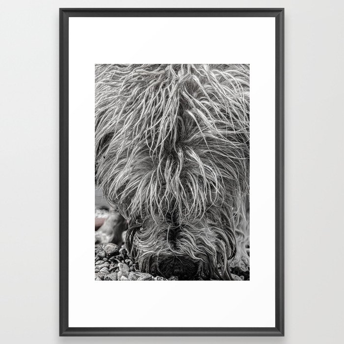 Fur Framed Art Print
