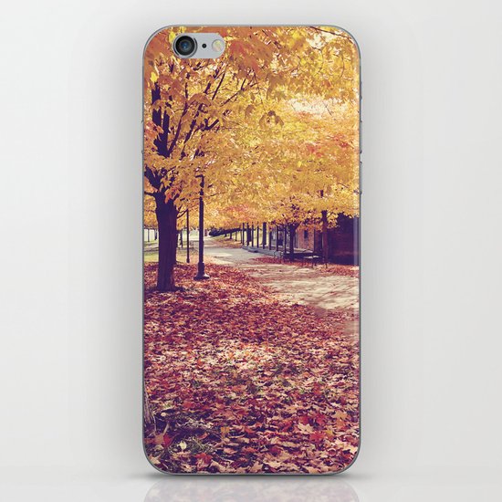 The Autumn Path iPhone & iPod Skin