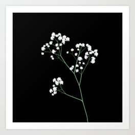 Babys Breath Art Prints For Any Decor Style Society6