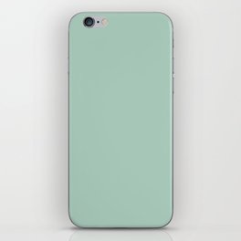 Light Aqua Green Gray Solid Color Pantone Mist Green 13-6110 TCX Shades of Blue-green Hues iPhone Skin