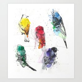 Palette Birds Art Print