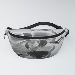 Orchid in Black and White Contemporary Art A537 Fanny Pack