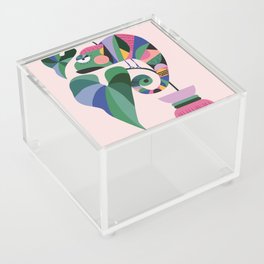 Mid Century Chameleon Acrylic Box