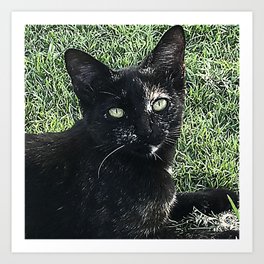 Island Cat Relaxing in Tropical Grass Art Print | Uniquecat, Humorouscat, Photo, Darlingcat, Cutecat, Catonisland, Sillycat, Funnycat, Relaxingcat, Tropicalcat 