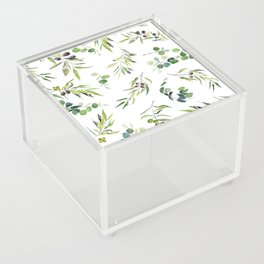 Eucalyptus and Olive on White Background  Acrylic Box