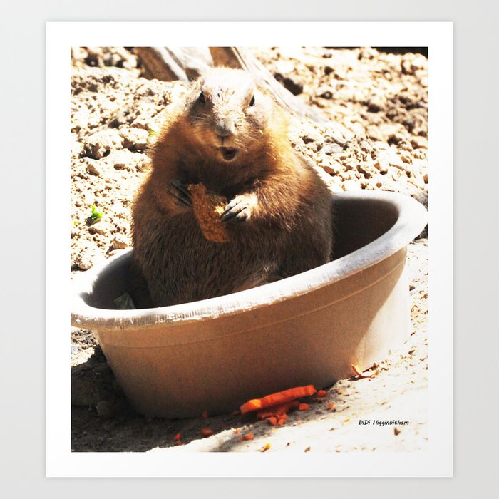 A Bowl Of Groundhog And Veggies Art Print