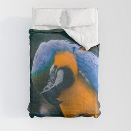 Brazil Photography - Blue And Yellow Macaw Parrot Comforter