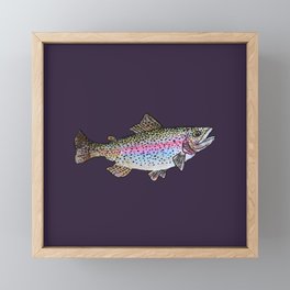 Rainbow Trout Drawing  Framed Mini Art Print