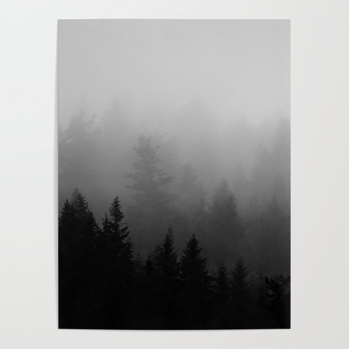 White Foggy Misty Landscape Photography, Black And White Forest Landscape