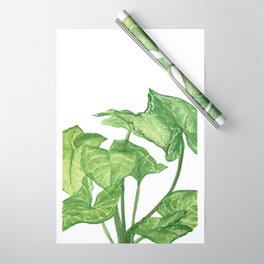 Arrowhead Green Wrapping Paper