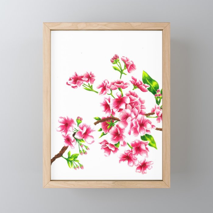 Cherry Blossoms  Framed Mini Art Print