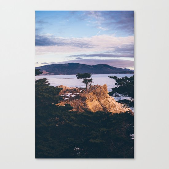 California Canvas Print