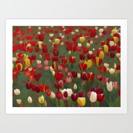 Monet's French Garden at Giverny with plein air parrot tulips in yellow-red, yellow, red, purple and white impressionism landscape painting Art Print