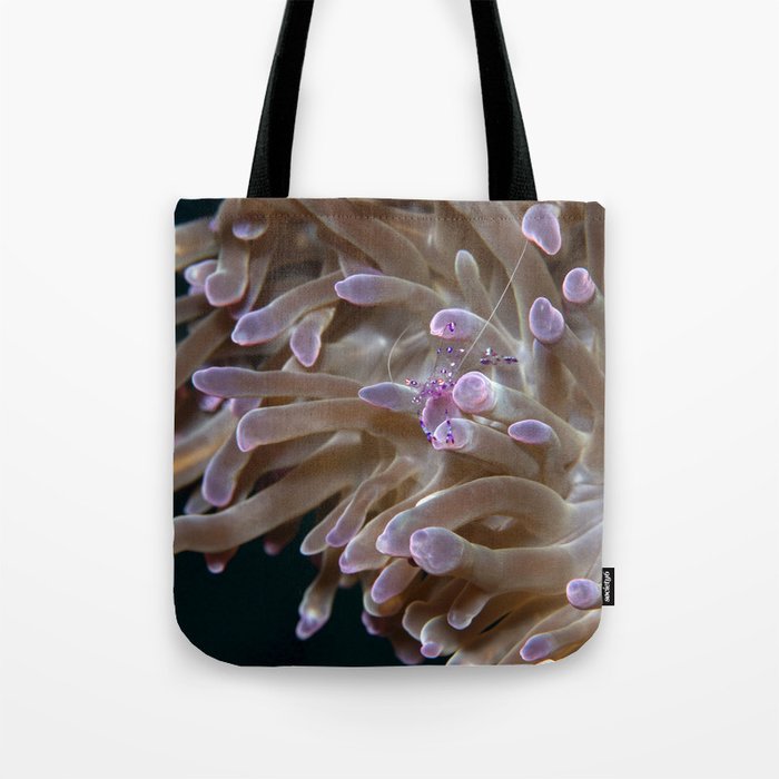 Anemone shrimp hanging out Tote Bag