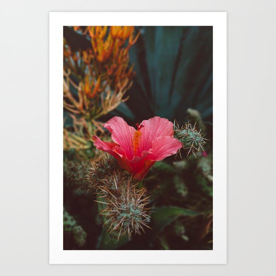 California Bloom III Art Print
