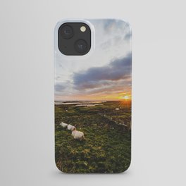 Sheep of Ireland iPhone Case