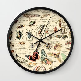 Vintage Insect Identification Chart // Arthropodes by Adolphe Millot XL 19th Century Science Artwork Wall Clock