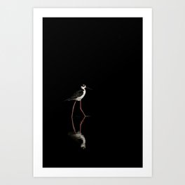 Elegant Wader Bird in Reflective Waters | Minimalistic | animal | Costa Rica | Fine art | Black  Art Print