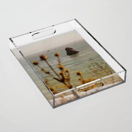 Coastline Thistle Acrylic Tray