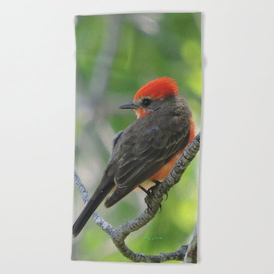 Vermilion Flycatcher Beach Towel