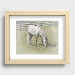 A White Horse in a pasture among Daisy Flowers Recessed Framed Print