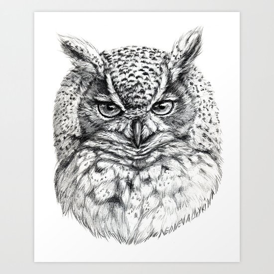 Owl SK136 Art Print