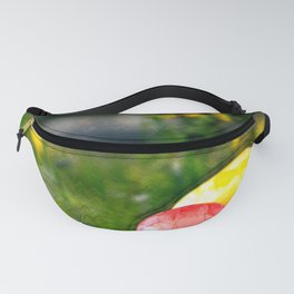 Concept Easter : Eastereggs and flowers Fanny Pack