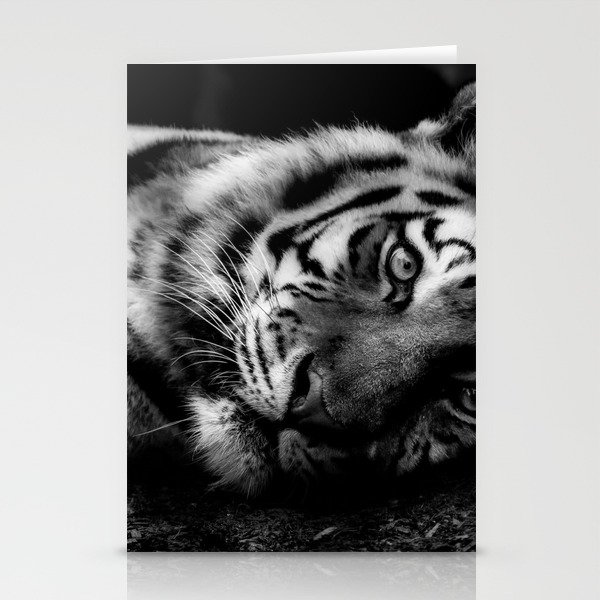 Eye of the tiger black and white portrait photograph / photography / photographs wall decor Stationery Cards