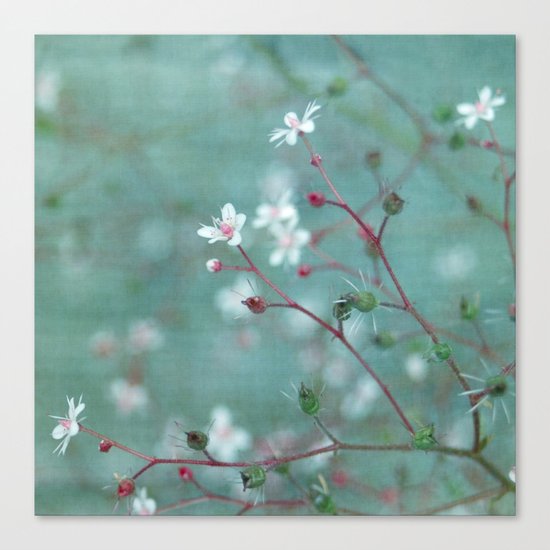 filigree II Canvas Print