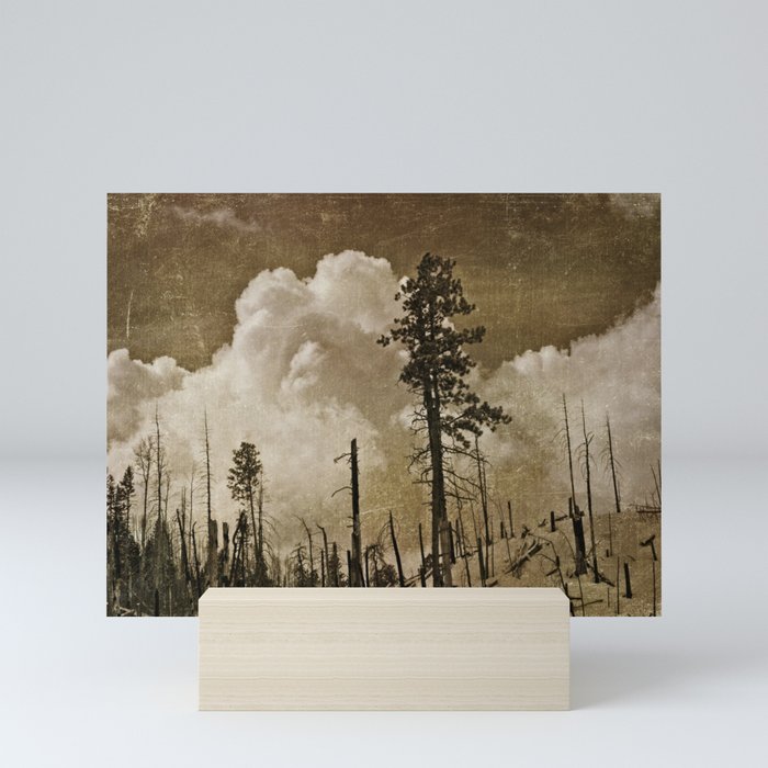 Valle Caldera, NM Mini Art Print