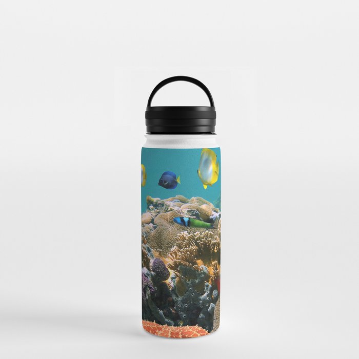 fish Water Bottle