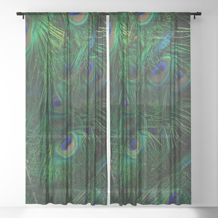 Sheer Curtain