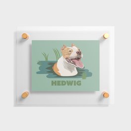 Hedwig   Floating Acrylic Print