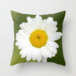 Beautiful Daisy Natural Green Background #decor #society6 #buyart Throw Pillow