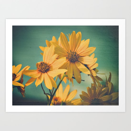 H. maximiliani, Prairie Sunflower Botanical Art Print