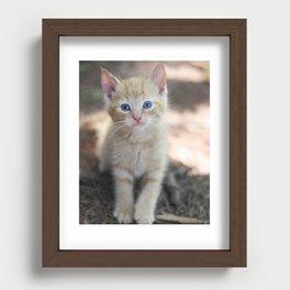 Orange Kitten Recessed Framed Print