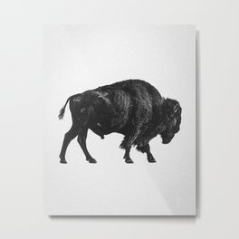Bison Self Portrait Metal Print