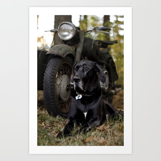 Aging Art Print
