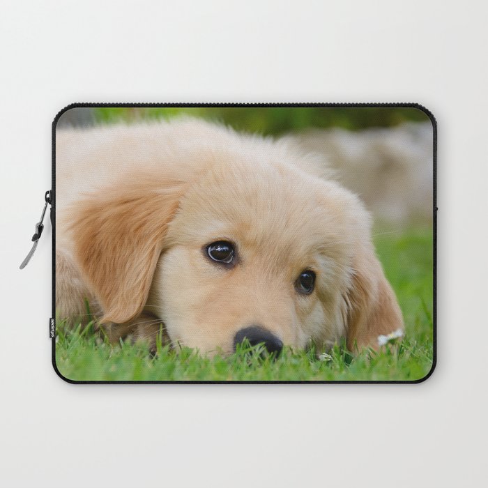 Golden Retriever Puppy Cute Dog Laptop Sleeve By Kathomenden