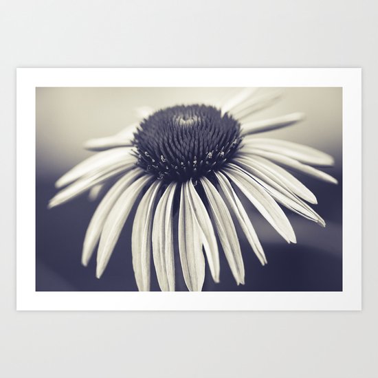 Falling Art Print