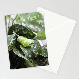 Scindapsus  |  The Houseplant Collection Stationery Card
