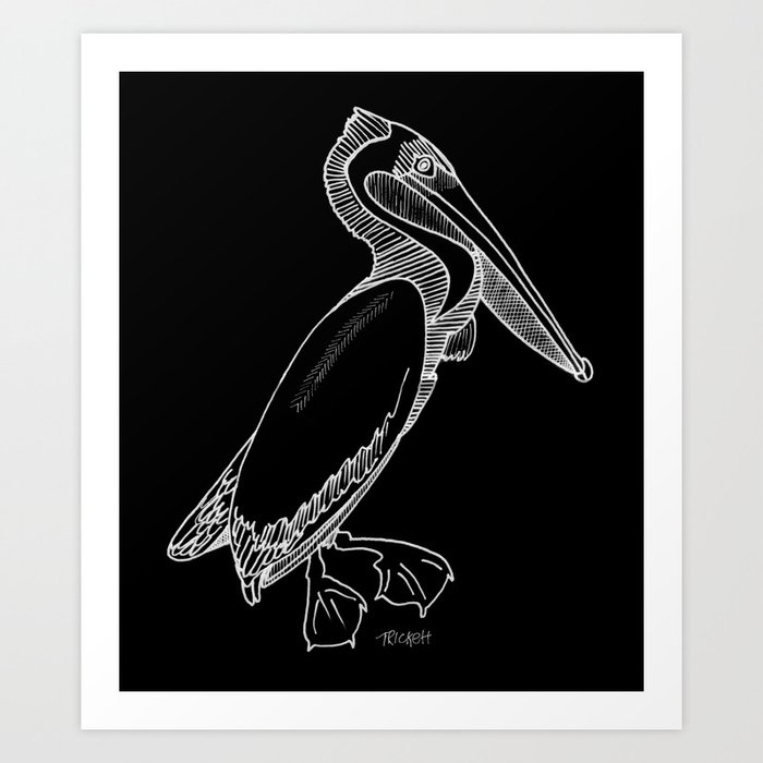 Pelican Sketch 2.0 Art Print