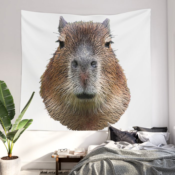 Classy tapestry hot sale