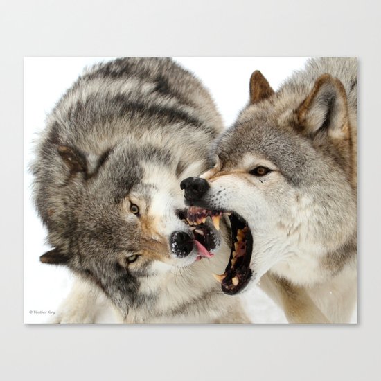 Laying down the law Canvas Print