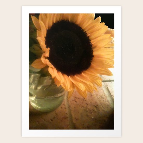 Sunflower Art Print
