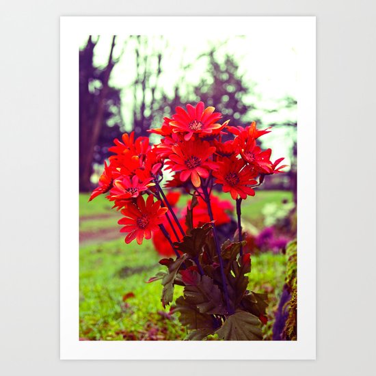 Simple red flowers Art Print