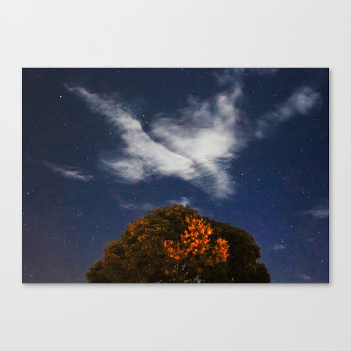 Cloud by Moonlight Canvas Print